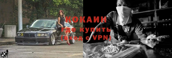 прущие грибы Абаза