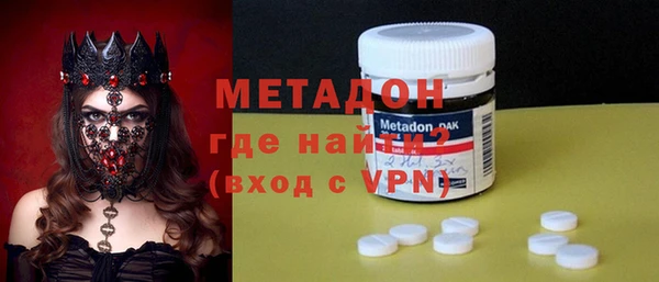 прущие грибы Абаза