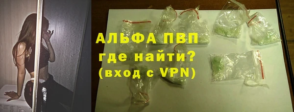 прущие грибы Абаза