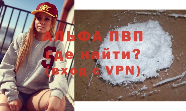 прущие грибы Абаза