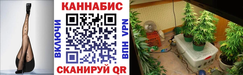 купить закладку Красноперекопск Бошки Шишки марихуана